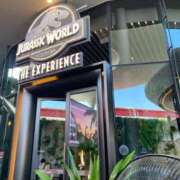 ヒメ日記 2025/11/30 21:04 投稿 剛力彩花 ソープランド ラ・メイド neo