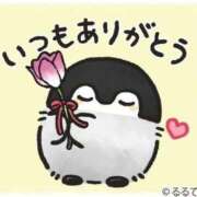 ヒメ日記 2025/12/31 23:12 投稿 剛力彩花 ソープランド ラ・メイド neo