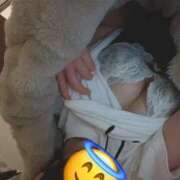 ヒメ日記 2026/01/10 06:14 投稿 剛力彩花 ソープランド ラ・メイド neo