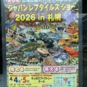 ヒメ日記 2026/04/05 20:34 投稿 剛力彩花 ソープランド ラ・メイド neo