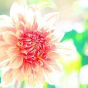 ヒメ日記 2025/05/31 22:18 投稿 ちひろ アバンチュール（難波）