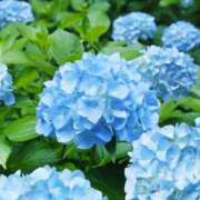 ヒメ日記 2025/06/22 19:39 投稿 ちひろ アバンチュール（難波）