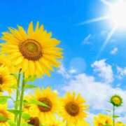 ヒメ日記 2025/08/06 17:09 投稿 ちひろ アバンチュール（難波）