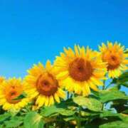 ヒメ日記 2025/09/16 07:52 投稿 ちひろ アバンチュール（難波）