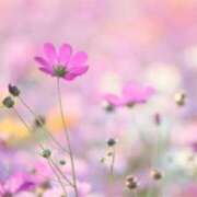 ヒメ日記 2025/11/10 15:33 投稿 ちひろ アバンチュール（難波）