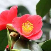 ヒメ日記 2026/03/05 08:47 投稿 ちひろ アバンチュール（難波）