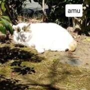 ヒメ日記 2024/12/15 08:47 投稿 あむ 熟女の風俗最終章 蒲田店