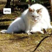 ヒメ日記 2025/01/06 05:26 投稿 あむ 熟女の風俗最終章 蒲田店