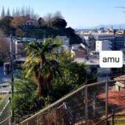 ヒメ日記 2025/01/12 05:56 投稿 あむ 熟女の風俗最終章 蒲田店