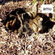 ヒメ日記 2025/01/19 08:26 投稿 あむ 熟女の風俗最終章 蒲田店