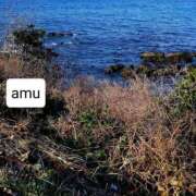 ヒメ日記 2025/01/21 22:46 投稿 あむ 熟女の風俗最終章 蒲田店