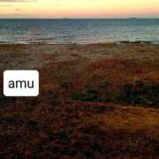 ヒメ日記 2025/01/23 04:36 投稿 あむ 熟女の風俗最終章 蒲田店