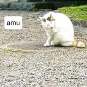 ヒメ日記 2025/01/23 14:56 投稿 あむ 熟女の風俗最終章 蒲田店