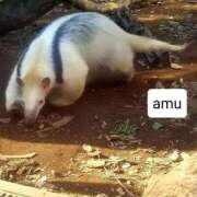 ヒメ日記 2025/02/06 05:11 投稿 あむ 熟女の風俗最終章 蒲田店