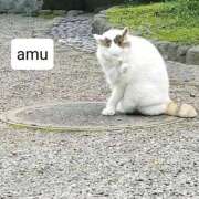 ヒメ日記 2025/02/06 18:06 投稿 あむ 熟女の風俗最終章 蒲田店