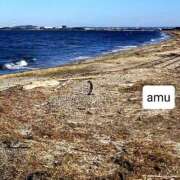 ヒメ日記 2025/02/09 03:26 投稿 あむ 熟女の風俗最終章 蒲田店