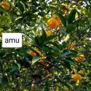 ヒメ日記 2025/02/09 04:30 投稿 あむ 熟女の風俗最終章 蒲田店