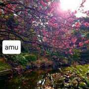 ヒメ日記 2025/02/15 07:22 投稿 あむ 熟女の風俗最終章 蒲田店