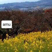 ヒメ日記 2025/02/17 06:06 投稿 あむ 熟女の風俗最終章 蒲田店