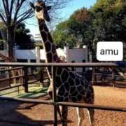 ヒメ日記 2025/02/17 06:36 投稿 あむ 熟女の風俗最終章 蒲田店