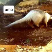 ヒメ日記 2025/02/19 22:56 投稿 あむ 熟女の風俗最終章 蒲田店