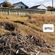 ヒメ日記 2025/02/24 01:36 投稿 あむ 熟女の風俗最終章 蒲田店