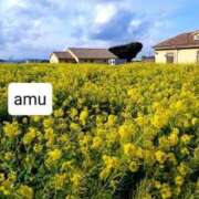 ヒメ日記 2025/02/25 05:36 投稿 あむ 熟女の風俗最終章 蒲田店