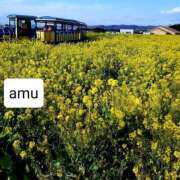 ヒメ日記 2025/02/28 03:56 投稿 あむ 熟女の風俗最終章 蒲田店