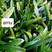 ヒメ日記 2025/03/03 21:36 投稿 あむ 熟女の風俗最終章 蒲田店