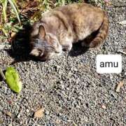 ヒメ日記 2025/03/03 23:36 投稿 あむ 熟女の風俗最終章 蒲田店