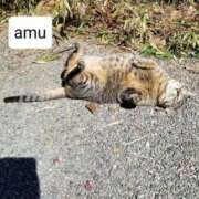 ヒメ日記 2025/03/07 08:56 投稿 あむ 熟女の風俗最終章 蒲田店