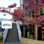 ヒメ日記 2025/03/10 06:46 投稿 あむ 熟女の風俗最終章 蒲田店