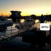 ヒメ日記 2025/03/11 05:46 投稿 あむ 熟女の風俗最終章 蒲田店