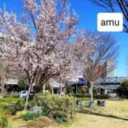 ヒメ日記 2025/03/17 11:01 投稿 あむ 熟女の風俗最終章 蒲田店