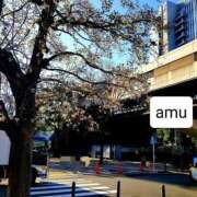 ヒメ日記 2025/03/18 07:16 投稿 あむ 熟女の風俗最終章 蒲田店