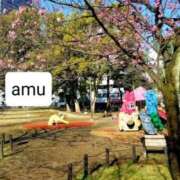 ヒメ日記 2025/03/20 07:46 投稿 あむ 熟女の風俗最終章 蒲田店