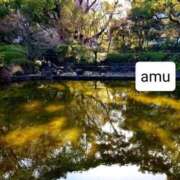 ヒメ日記 2025/03/20 09:16 投稿 あむ 熟女の風俗最終章 蒲田店