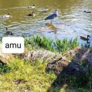 ヒメ日記 2025/03/22 05:26 投稿 あむ 熟女の風俗最終章 蒲田店