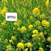 ヒメ日記 2025/03/24 06:06 投稿 あむ 熟女の風俗最終章 蒲田店