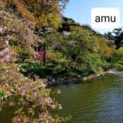 ヒメ日記 2025/03/28 16:04 投稿 あむ 熟女の風俗最終章 蒲田店