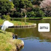 ヒメ日記 2025/03/30 03:30 投稿 あむ 熟女の風俗最終章 蒲田店