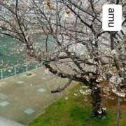 ヒメ日記 2025/04/01 04:40 投稿 あむ 熟女の風俗最終章 蒲田店