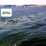 ヒメ日記 2025/04/04 06:00 投稿 あむ 熟女の風俗最終章 蒲田店