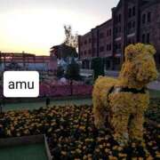 ヒメ日記 2025/04/05 08:50 投稿 あむ 熟女の風俗最終章 蒲田店