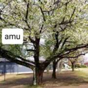 ヒメ日記 2025/04/05 17:50 投稿 あむ 熟女の風俗最終章 蒲田店