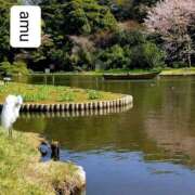 ヒメ日記 2025/04/06 16:30 投稿 あむ 熟女の風俗最終章 蒲田店