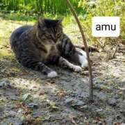 ヒメ日記 2025/04/06 17:01 投稿 あむ 熟女の風俗最終章 蒲田店