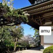 ヒメ日記 2025/04/11 09:50 投稿 あむ 熟女の風俗最終章 蒲田店