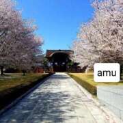 ヒメ日記 2025/04/11 10:01 投稿 あむ 熟女の風俗最終章 蒲田店