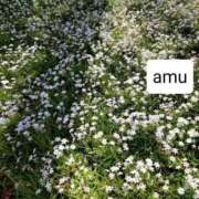 ヒメ日記 2025/04/11 15:50 投稿 あむ 熟女の風俗最終章 蒲田店